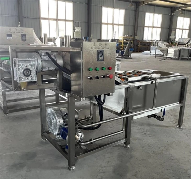 Lettuce Washing Equipment
